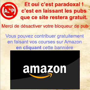 Banniere Amazon Bas